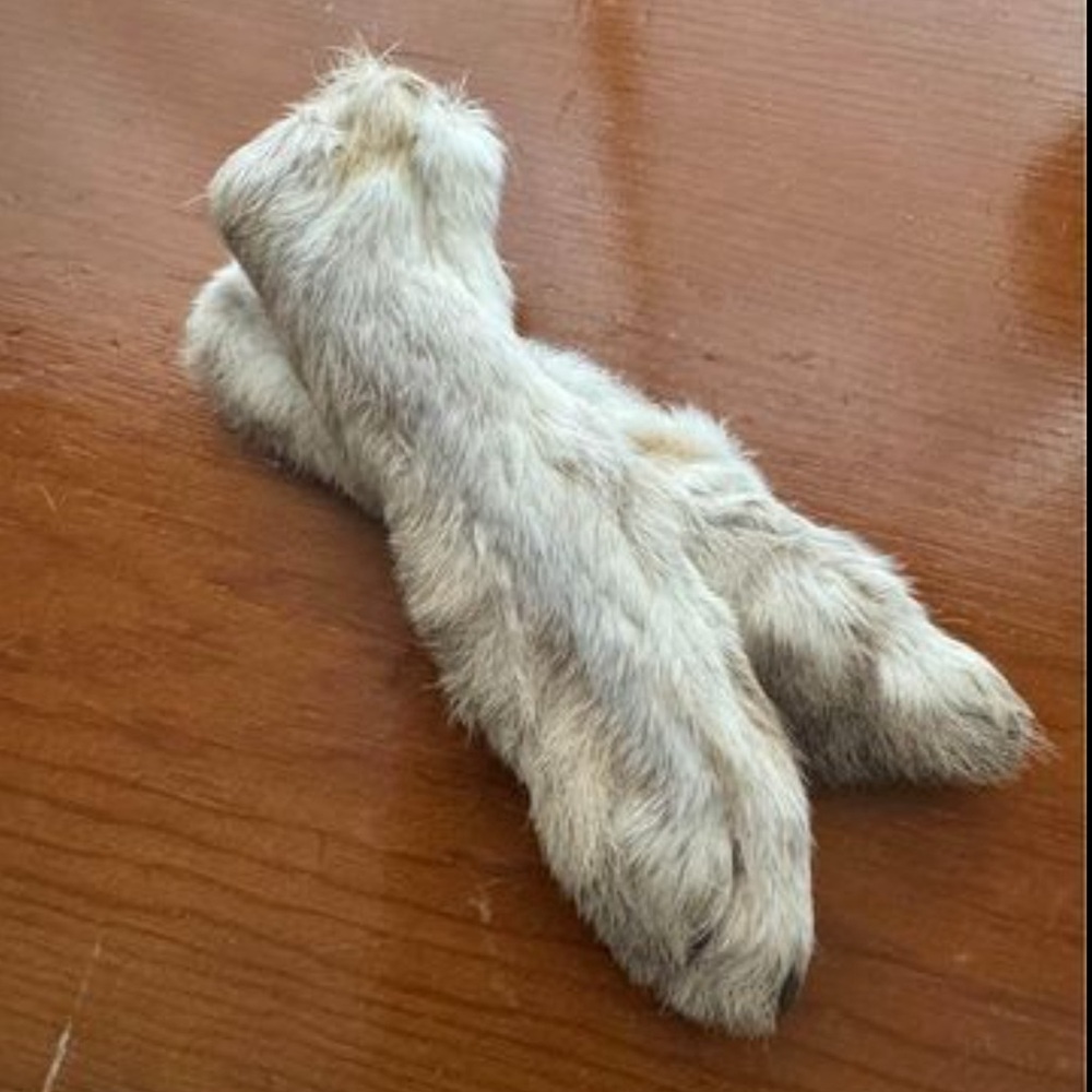 Rabbit Feet *good luck*